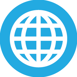 WordPress engineering icon