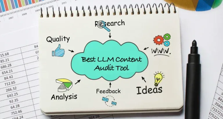 Best LLM Content Audit Too Hero